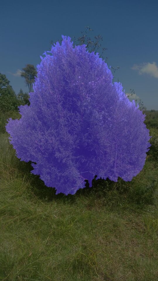 Terrestrial Overlay loading=